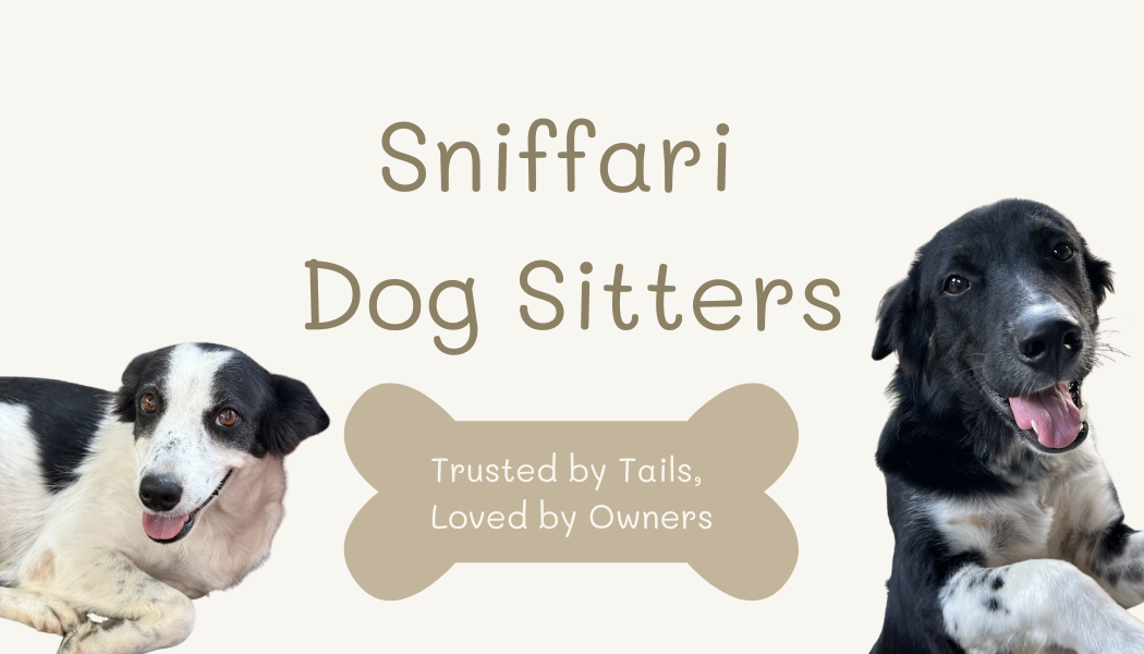 Business Card - Front